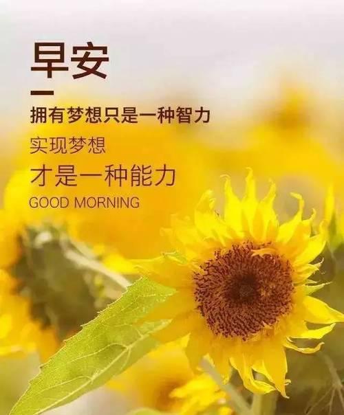 适合发朋友圈的早安语录有哪些？怎么挑选合适的早安语录分享？