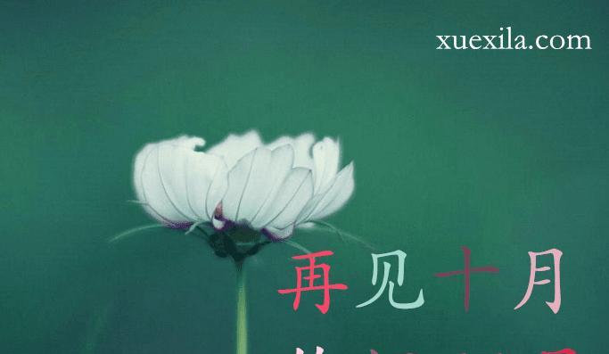 十月再见十一月你好励志正能量说说？如何用正能量迎接新的月份？