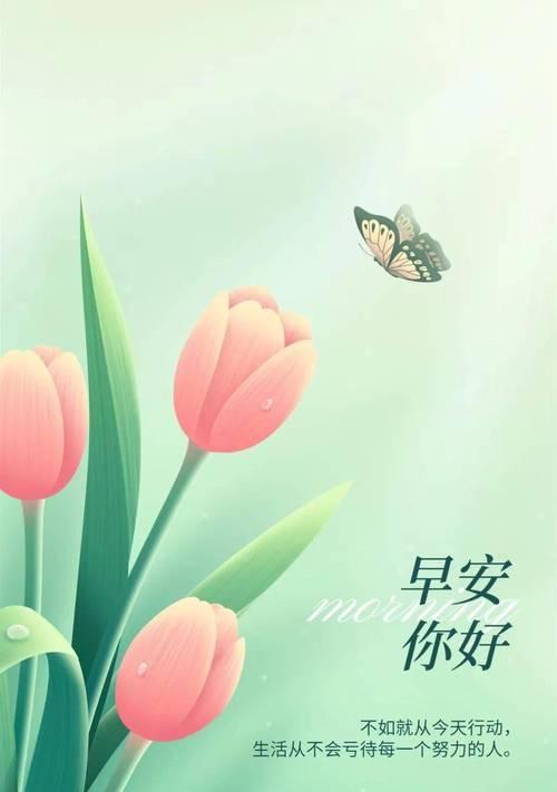 十二月你好早安说说？如何用温馨话语迎接新的一月？