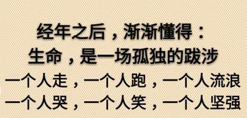 社会现实的搞笑句子有哪些？如何在日常生活中巧妙运用？