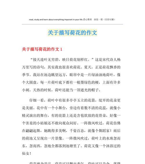 我的故事荷花池（静谧水岸，芬芳飘香）