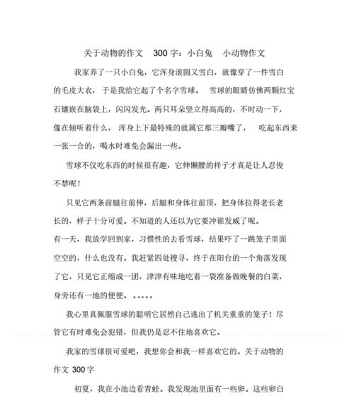 小白兔的奇幻冒险