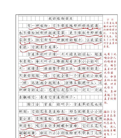 松树的坚韧——一个守护者的故事