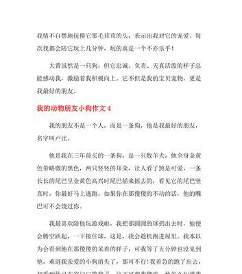 狗狗点点（用一份无私的爱，换来一段快乐的时光）
