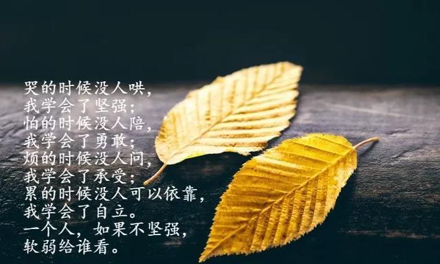 超经典的励志说说句子有哪些？如何在日常生活中应用？