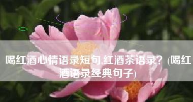 茶的优秀经典句子有哪些？如何用茶的名言提升生活品质？