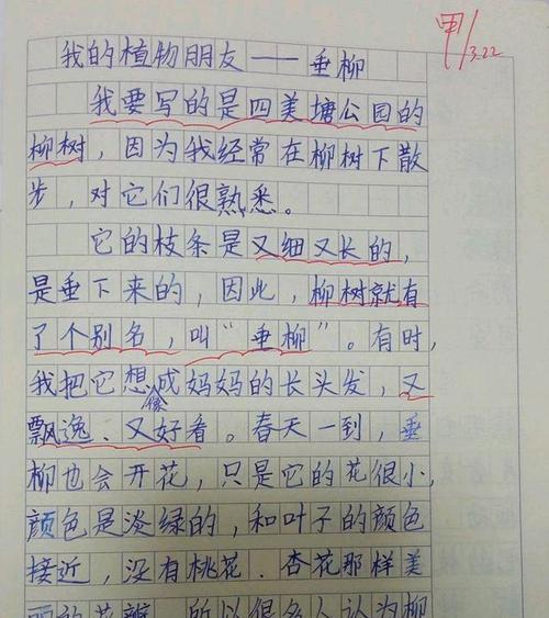 迎春花的坚持（寒冬中的温暖）