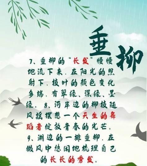 《柳絮轻飘春意浓——清明节的杨柳风情》