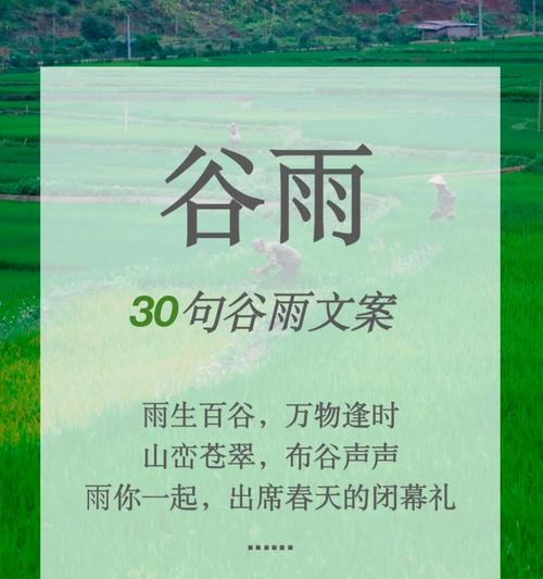 春雨贵如油，谷雨润心田——我们的校园时光