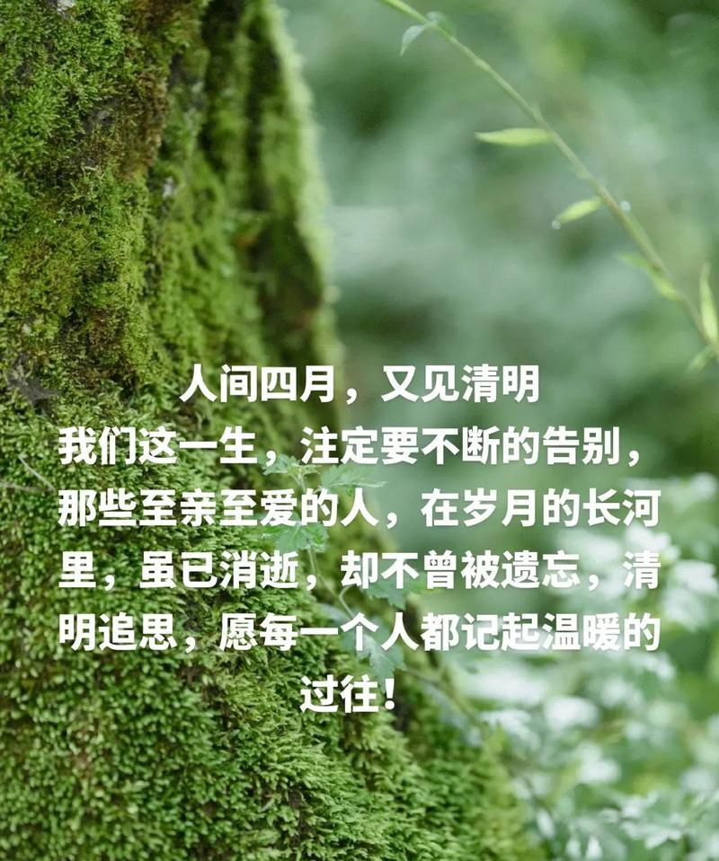 《清明时节雨纷纷，故人何处觅归云》