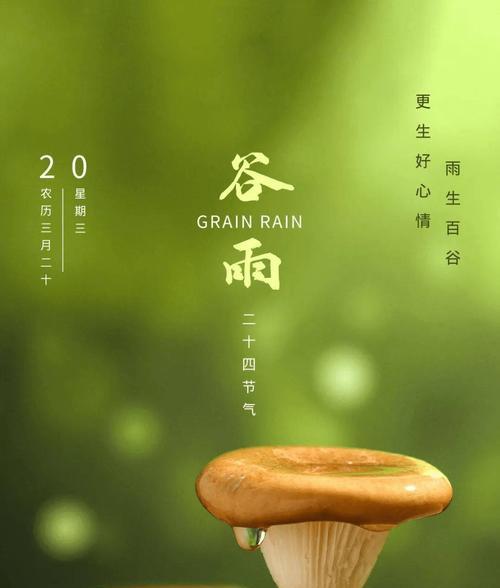 谷雨润心田，师恩如春雨
