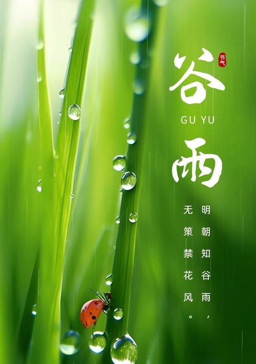 《谷雨未雨，春意尚存》