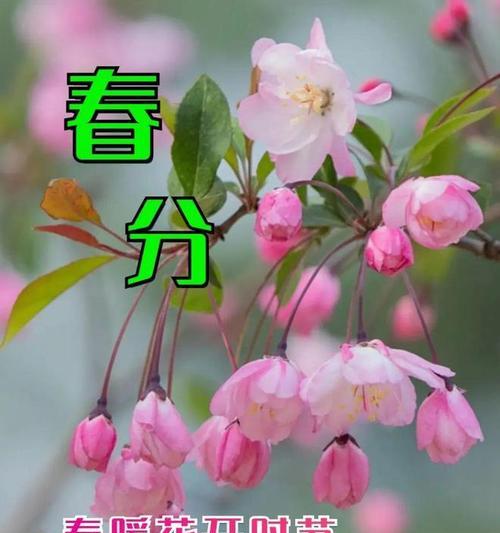 《春分大学，文墨飘香》
