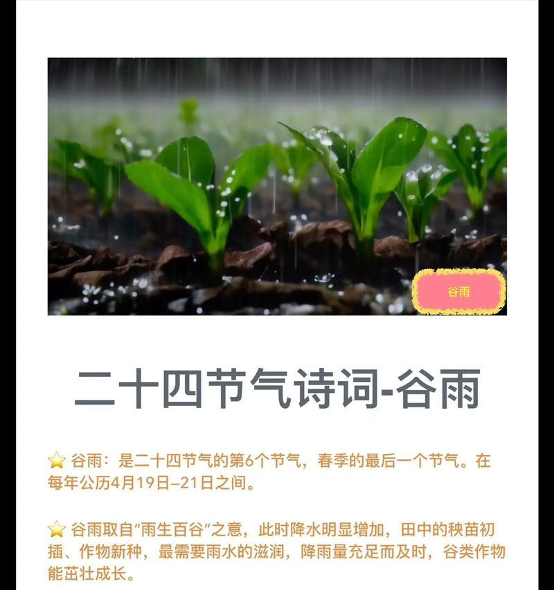 《雨润谷时：暮春之序》