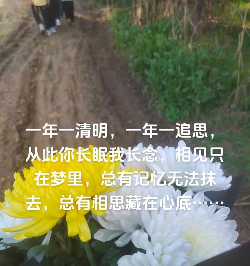 《清明泪语：雨湿梨花时节思》
