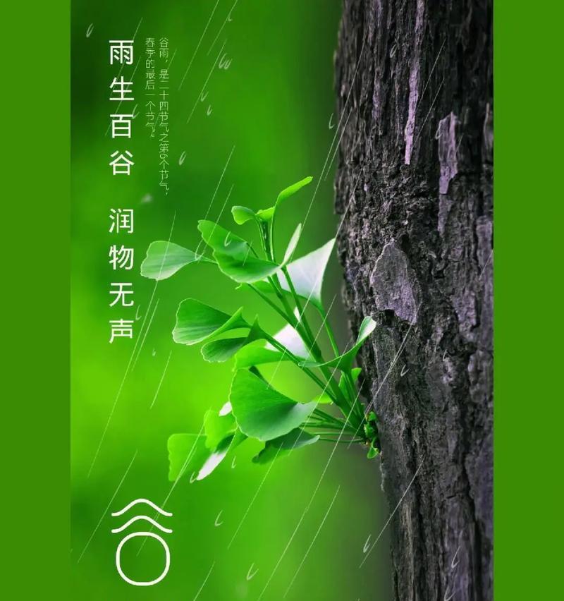 《谷雨狂风，古韵今吟》