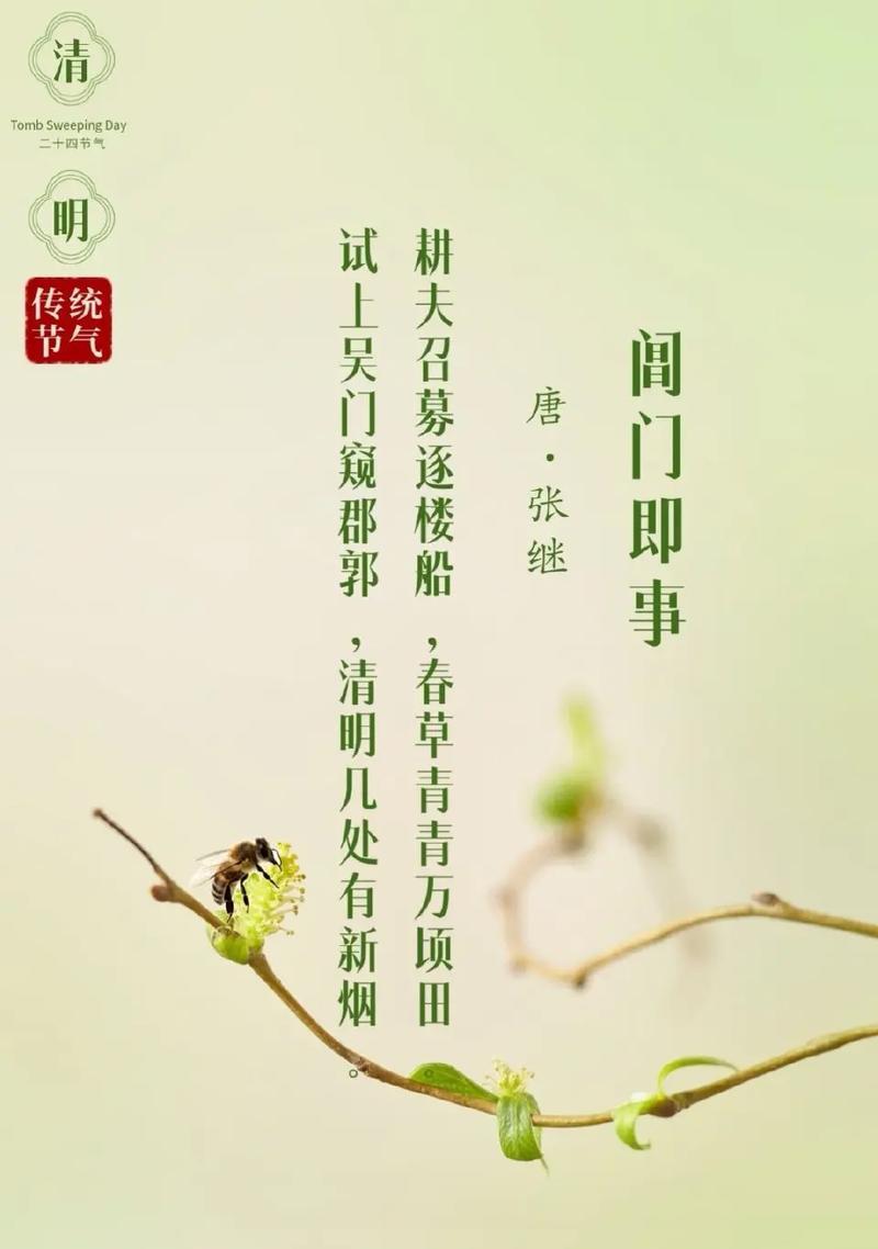 《春光乍泄：清明时分话绵绵》
