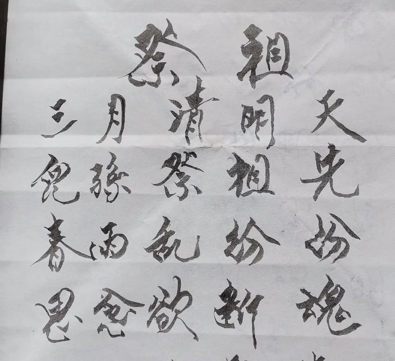 《清明祭祖：烟雨中的一抹哀思》
