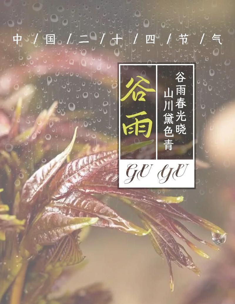 《谷雨时分，食之美境》