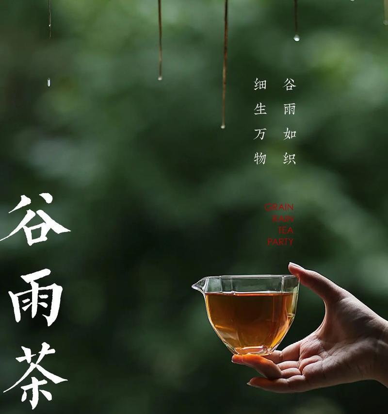 《谷雨茶事：古风悠扬说感怀》