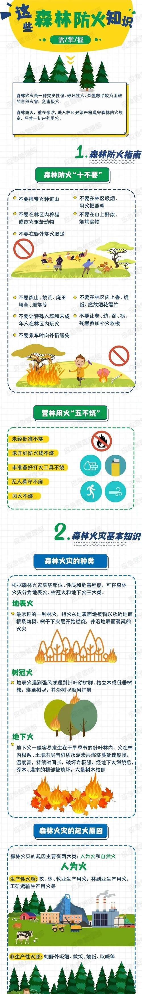 《清明祭：森林守望，翠绿长存》