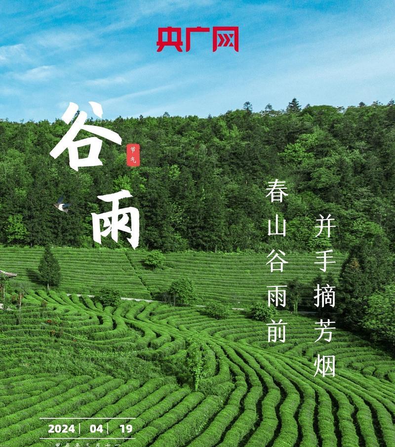 《谷雨时分，墨染芳华》