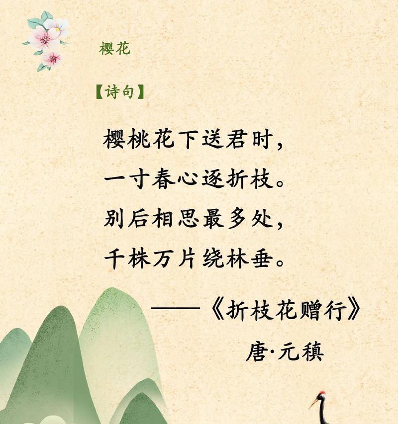 《樱花绽放·清明忆》