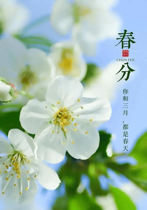 《春分之序：岁序更新，万象始生》