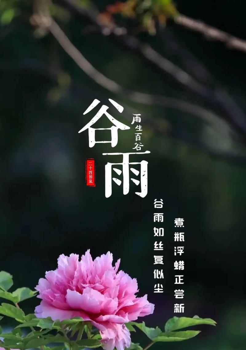 《谷雨时节，胡之美韵》