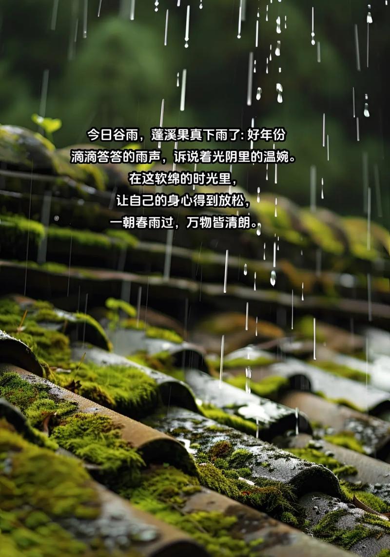 《烟雨蒙蒙话谷雨：一笺素心寄春华》