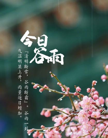 《谷雨细语：春华秋实之韵》