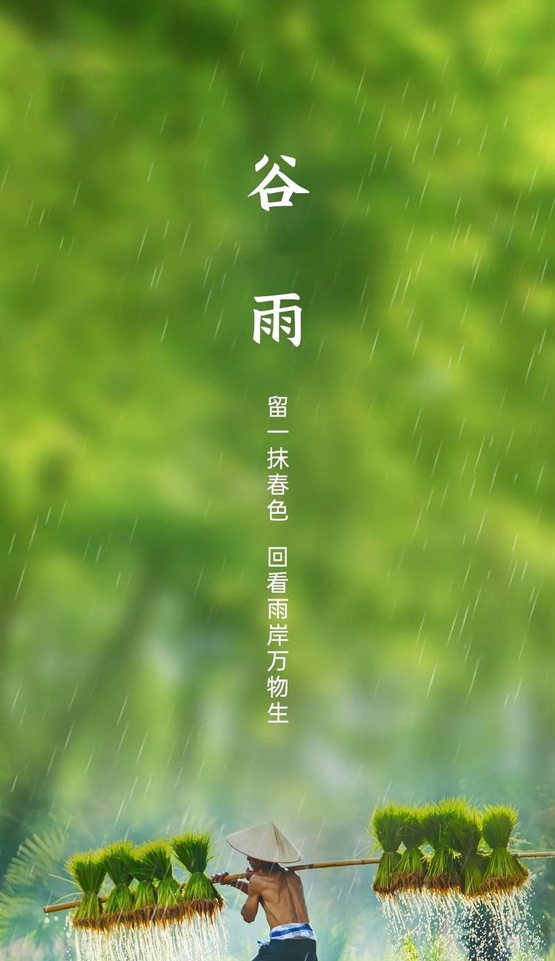 《谷雨时节，细雨润物无声》