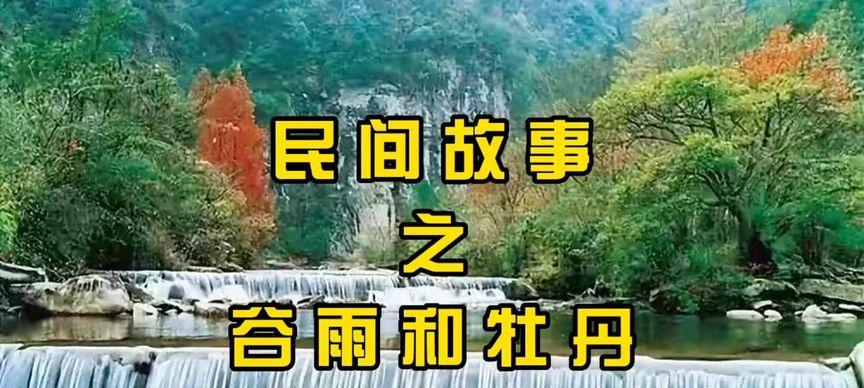 《谷雨润牡丹，花开富贵时》