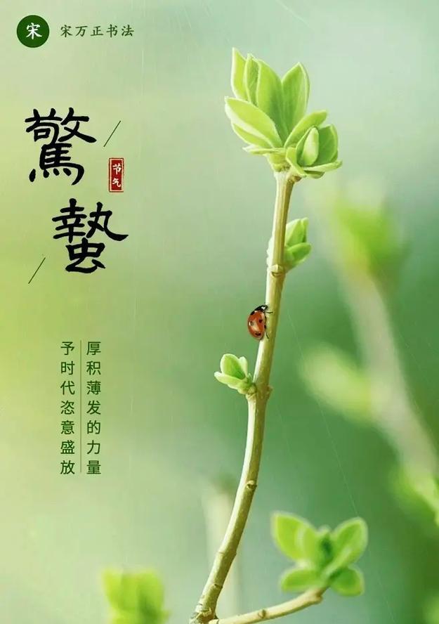 惊蛰春分什么意思（《春雷唤醒翠梦，花信风传诗韵》）