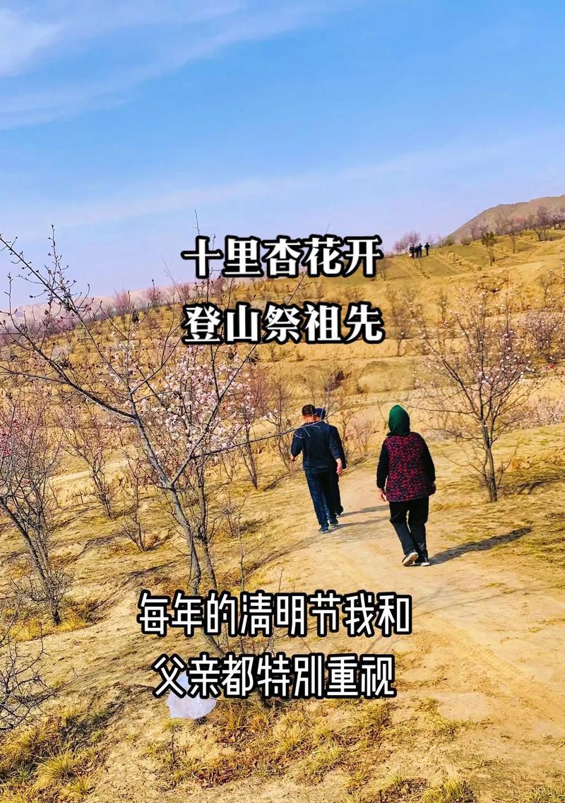 清明拜山怎么说（《春祭山行：清明游记》）