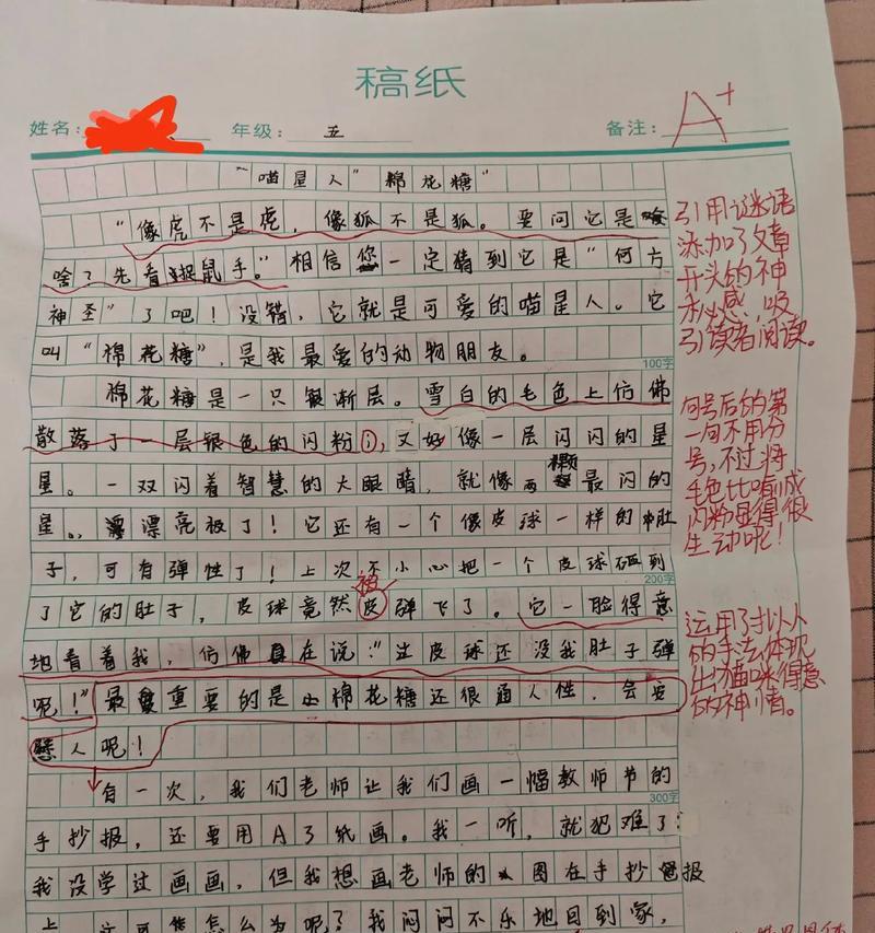 芒种杯优秀作文（《芒种杯下的誓言》）