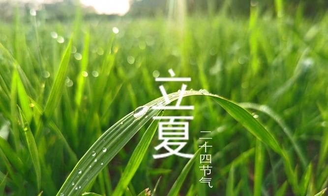 立夏节气作文怎么写结尾？（《立夏之约：青春的诗意启程》）