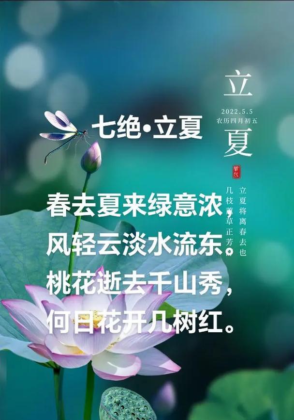 立夏劳动的句子好句有哪些？（《立夏日出，万象更新》）