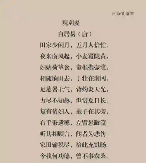 歌曲芒种文案怎么写（《芒种赞歌：夏意盎然，诗心悠扬》）