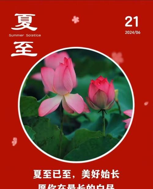 夏至文案怎么写才温柔？（夏至之诗：碧落黄泉皆有情）