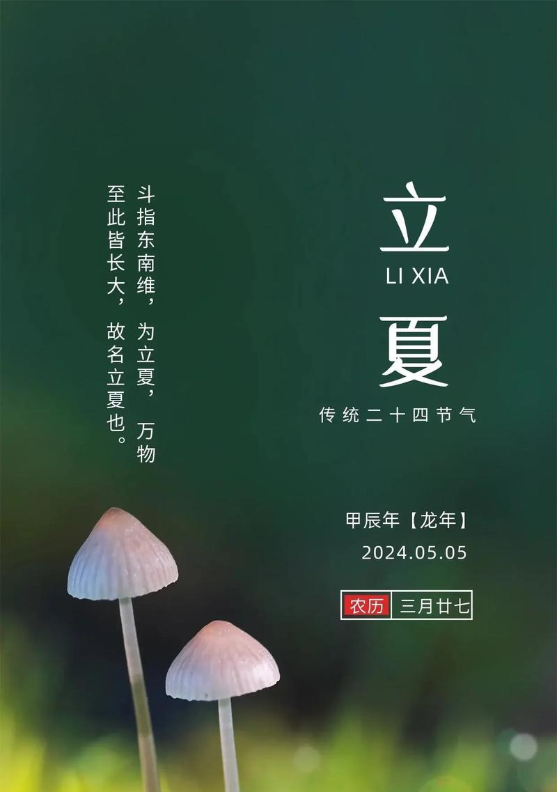 立夏冬至祝福语好句有哪些？（《立夏至冬寒，岁岁年年情》）