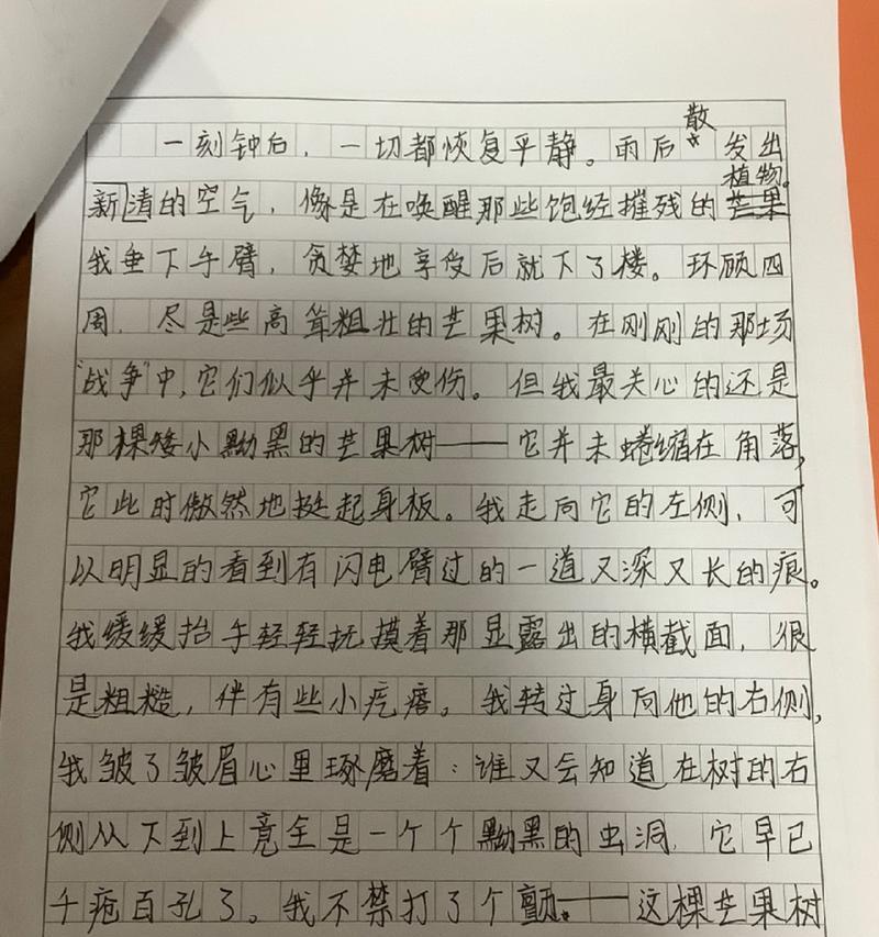 夏天的芒果树作文（《芒种时节的奇妙友情》）