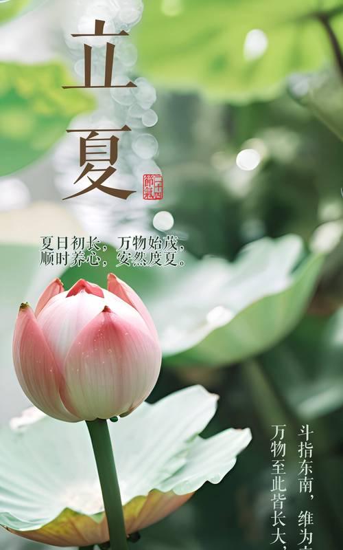 立夏健康养生的句子有哪些？（《立夏时节，养身之道》）