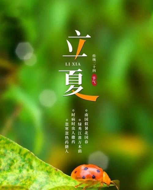 立夏伤感文案短句抖音好句怎么找？（《立夏伤感赋》）