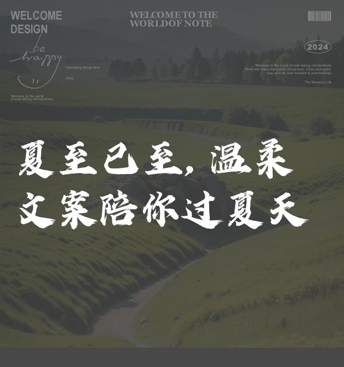 夏至情侣的含义是（《夏至情深，古韵今怀》）