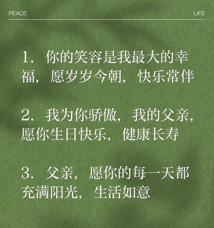 有关生日在父亲节的句子的短句怎么写（《寿辰之日，父爱如山》）