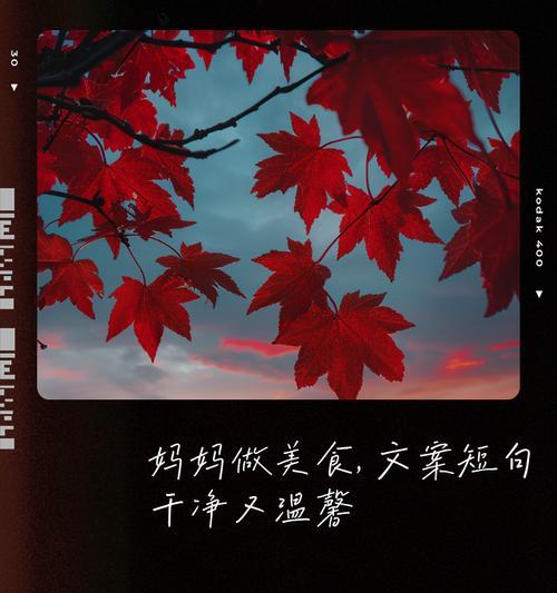 有关母亲节餐馆推荐文案短句的句子怎么写（《孝心满堂：母亲节的雅宴》）
