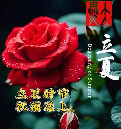 明天就立秋了是什么意思（《立夏将至，温风解寒意》）