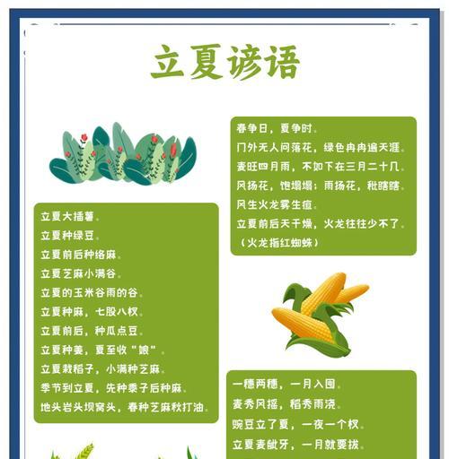 立夏饭的味道如何形容？（《立夏饭香：和风细语下的诗意》）
