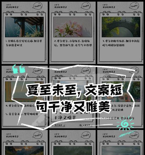 夏至时节的花（《夏至花香：风雅颂之序》）